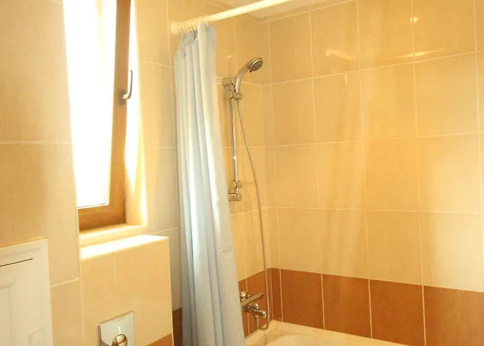 менада мидия *