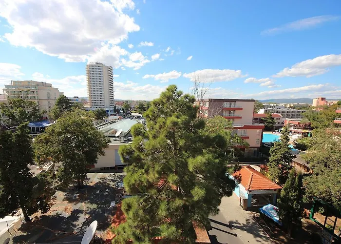 менада мидия